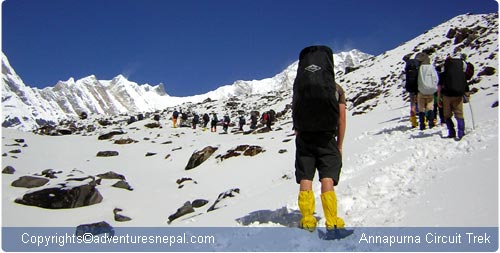 Annapurna Circuit trek