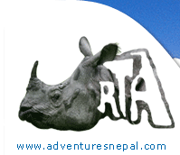 Rhino Travel Agency