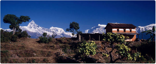 Annapurna Range seen from Gurung Village